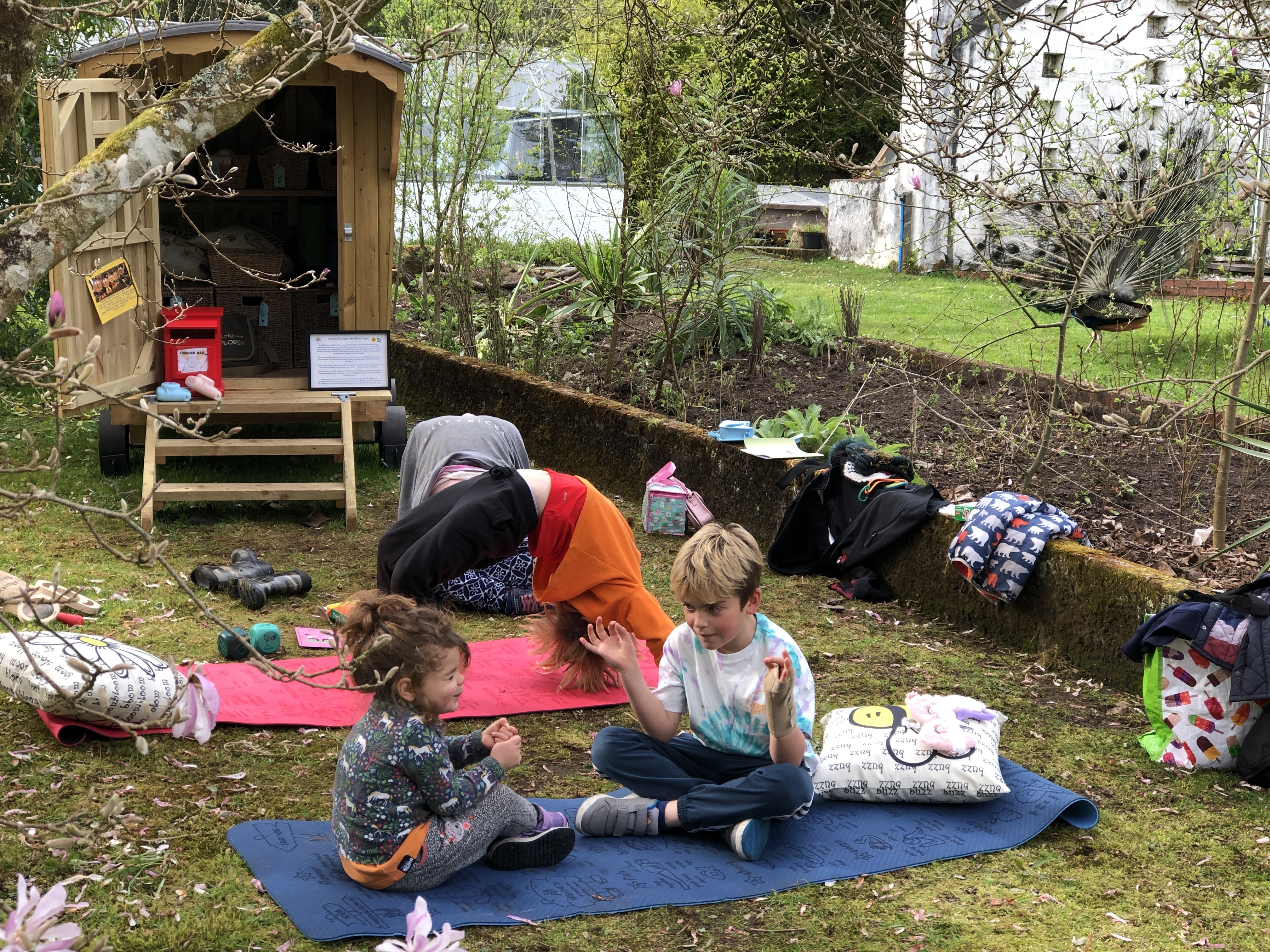 DF1 BC427 C1 E6 498 E 9 B50 57 FCF322 ECE7